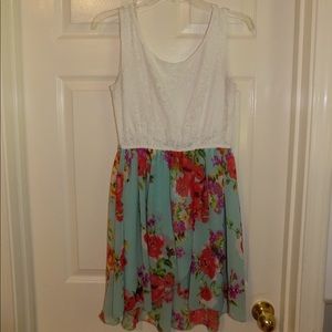 Blush Lace and Floral Dress